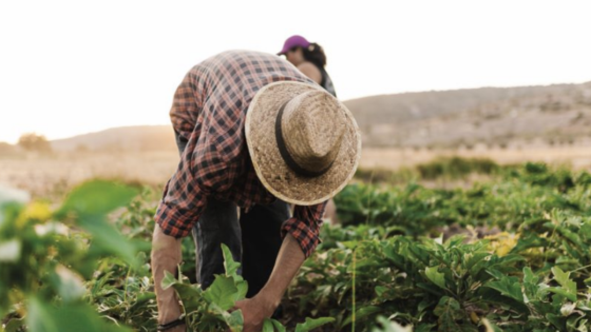 productos-agricolas-gs1-colombia-codigos-barras