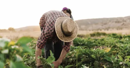 productos-agricolas-gs1-colombia-codigos-barras