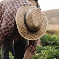 productos-agricolas-gs1-colombia-codigos-barras