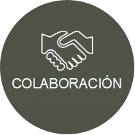 Colaboración